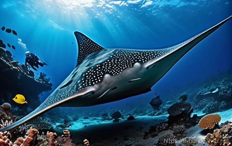 온두라스 로아탄 다이빙 명소 - An awe-inspiring and mystical underwater landscape set within Roatan's Mary's Place. A scuba diver, ... 온두라스 로아탄 다이빙 명소 - An awe-inspiring and mystical underwater landscape set within Roatan's Mary's Place. A scuba diver, ...